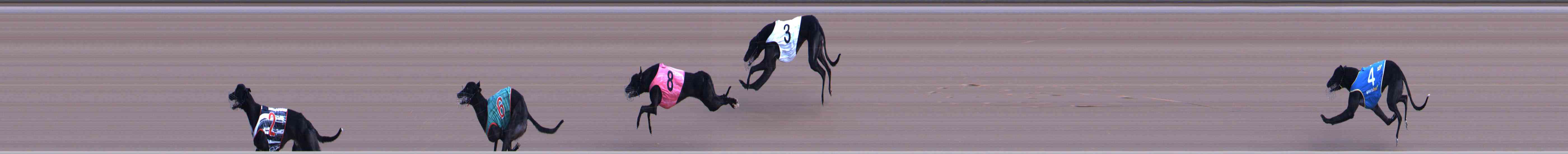 Race result finish photo